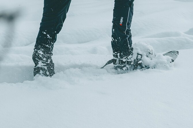 Rovaniemi: Snowshoeing in a magical snowy forest - The 1.5-hour snowshoe walk through the snowy taiga