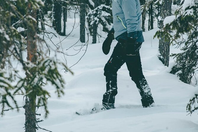 Rovaniemi: Snowshoeing in a magical snowy forest - Value for about $98.33: what’s included in the feeling