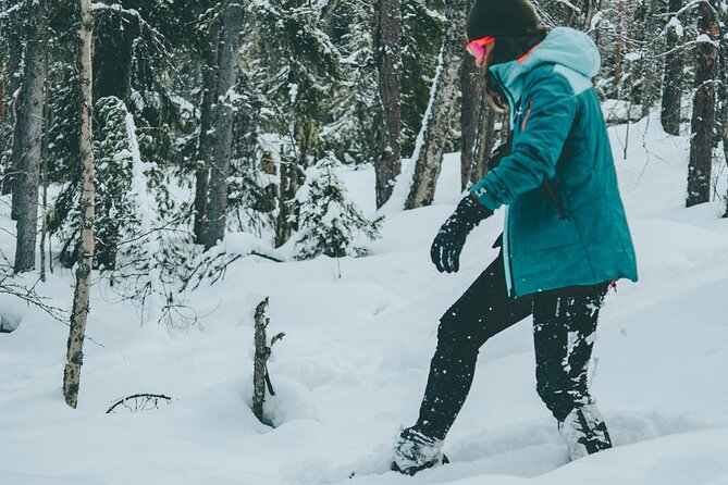 Rovaniemi: Snowshoeing in a magical snowy forest - Who this snowshoeing experience suits best