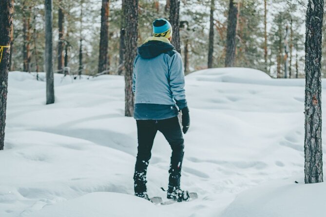 Rovaniemi: Snowshoeing in a magical snowy forest - Getting to the trail: pickup, timing, and a 2–4 person group