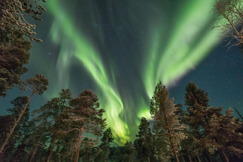 Rovaniemi: Snowy Forest Night Hike with Northern Lights - Walking the Moonlit Forest: Trails, Snowshoe Rhythm, and Your Role