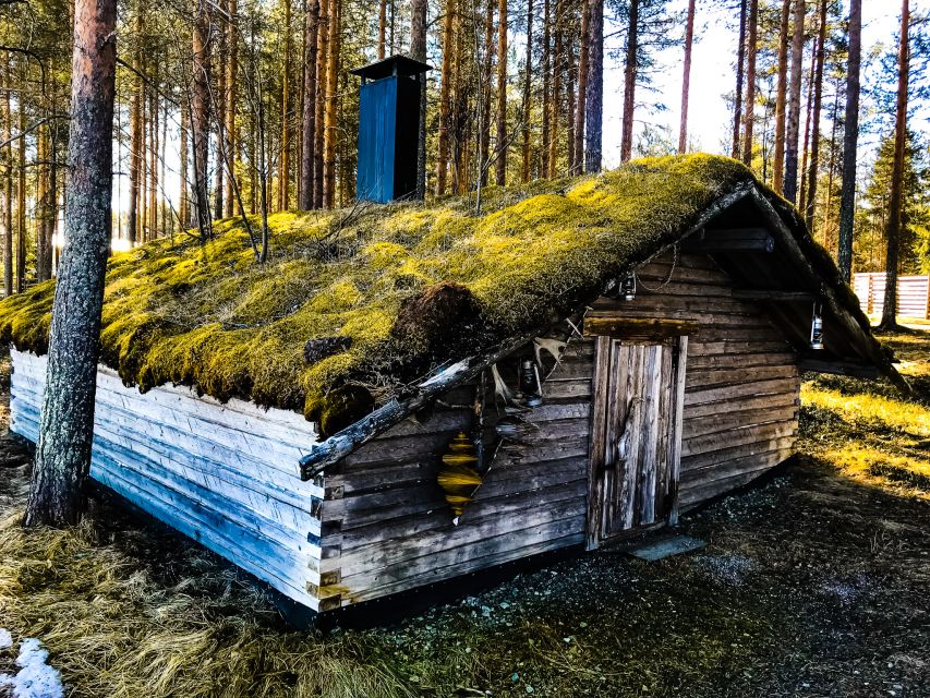 Rovaniemi: Summer Reindeer Farm Experience - Meeting the reindeer herder: how the local routine comes alive