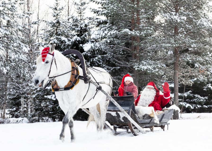 Rovaniemi: Traditional Finnhorse Sleigh Ride at SCV (3km) - Key things to know before you go