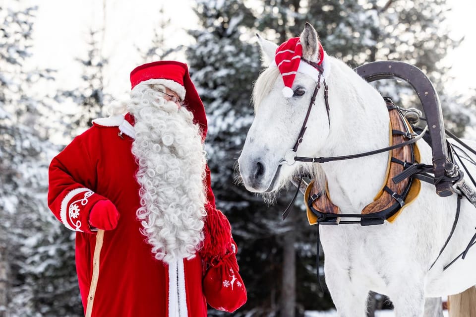 Rovaniemi: Traditional Finnhorse Sleigh Ride at SCV (3km) - A quiet Finnhorse ride in Rovaniemi’s evening snow