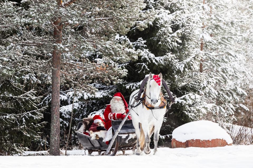 Rovaniemi: Traditional Finnhorse Sleigh Ride at SCV (3km) - Small-group setup and meeting the guide