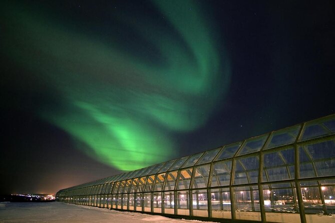 Rovaniemi walking tour and guided Arktikum experience - Key points to know before you go