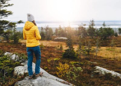 Rovaniemi: Wild Moose Safari - Hotel pickup and the forest drive: what your 3.5 hours actually looks like
