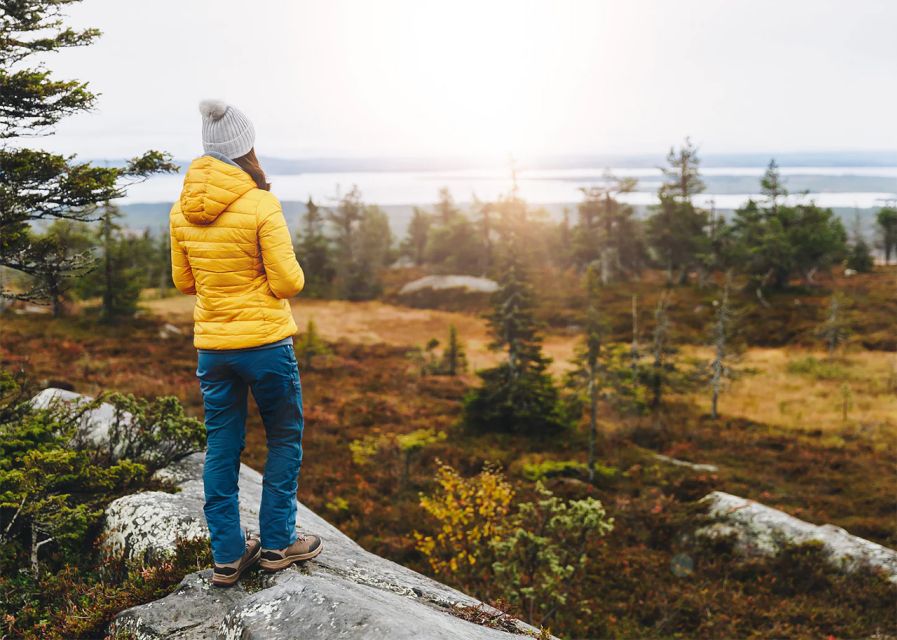 Rovaniemi: Wild Moose Safari - Hotel pickup and the forest drive: what your 3.5 hours actually looks like