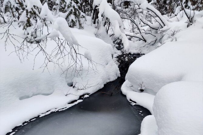 Rovaniemi: Winter Wonderland Vikaköngäs Hiking Tour & BBQ - Key highlights you’ll feel right away