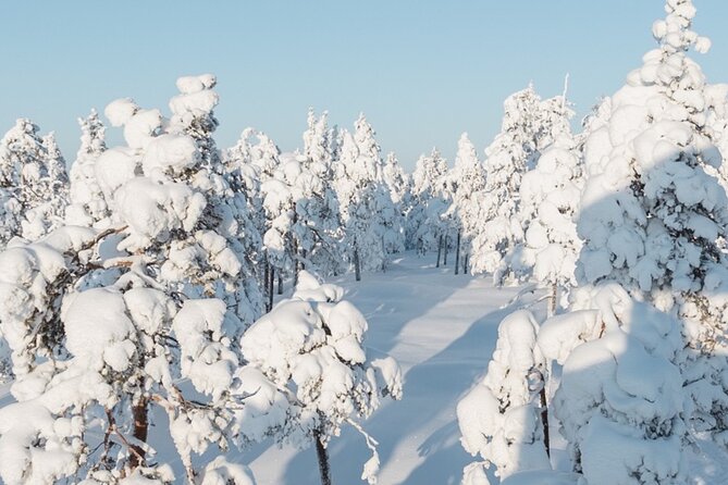 Rovaniemi: Winter Wonderland Vikaköngäs Hiking Tour & BBQ - Why Vikaköngäs feels like a winter daydream in Rovaniemi