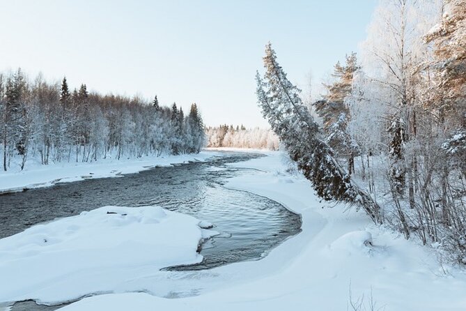 Rovaniemi: Winter Wonderland Vikaköngäs Hiking Tour & BBQ - Stop at Vikaköngäs: the frozen sights you’re walking toward
