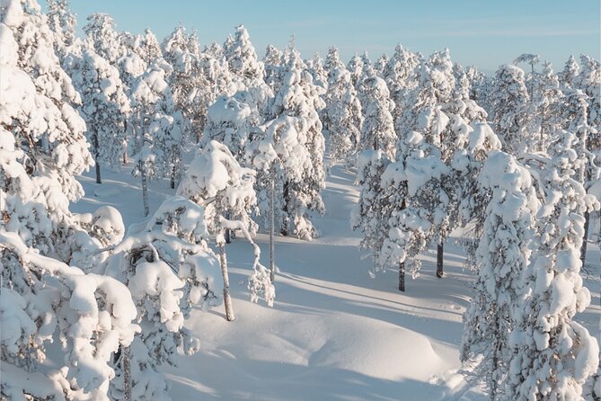 Rovaniemi: Winter Wonderland Vikaköngäs Hiking Tour & BBQ - How hard is the hike really on icy ground?