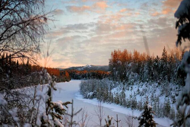 Rovaniemi: Winter Wonderland Vikaköngäs Hiking Tour & BBQ - Your 3-hour reality check: timing, pace, and what you’ll actually do