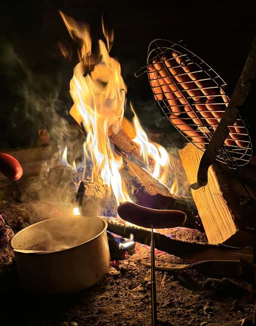 Rovaniemi:Northern Lights Hunt in Lapland Wilderness - Key highlights at a glance