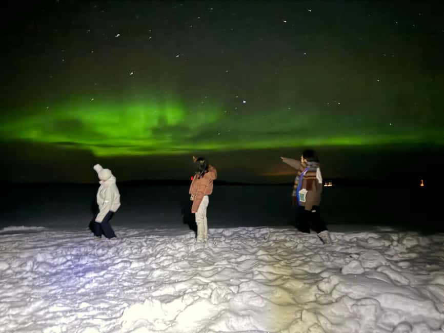 Rovaniemi:Northern Lights Hunt in Lapland Wilderness - Pickup in Rovaniemi: the logistics that affect your comfort