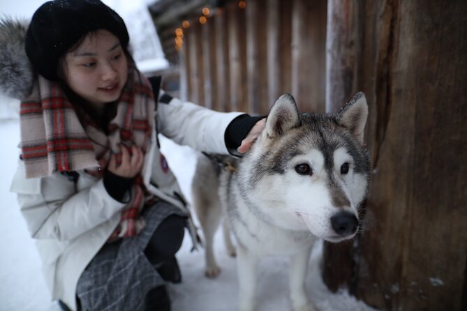 Santa Claus Village, Husky and Reindeers Combo Safari - Season Watch: November Snow vs. Summer Substitutions
