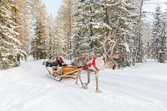Santa's Reindeer & Husky Safari + Aurora BBQ in Rovaniemi - Santa-style touches: Fazer chocolate and the “warm up” rhythm