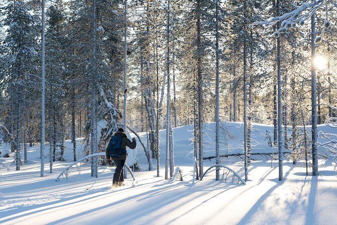 Ski Trek to the Wilderness - Extra Small group - Getting to the start: Rovaniemi meeting point and pickup