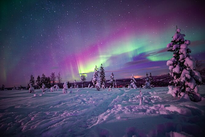 Ski Trekking under the Northern Lights - Key takeaways before you go