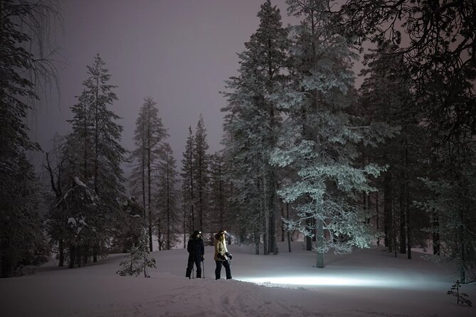 Ski Trekking under the Northern Lights - Northern Lights odds: your best chance, but not a guarantee