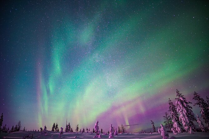 Ski Trekking under the Northern Lights - Mid-trek campfire: the part you’ll remember on the ride home