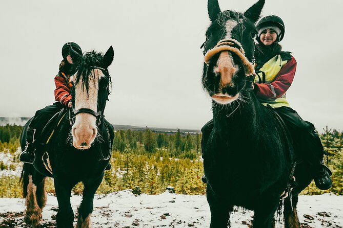 Small-Group Arctic Circle Horse Riding from Rovaniemi - From Rovaniemi to the Arctic Circle farm in a few hours