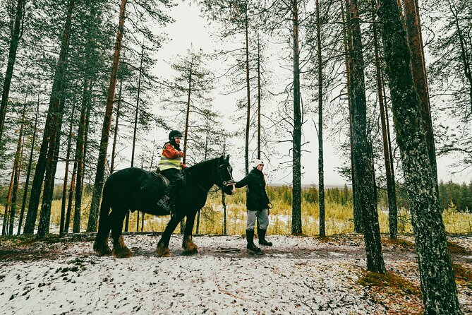 Small-Group Arctic Circle Horse Riding from Rovaniemi - Timing and pickup: how to not miss your ride slot