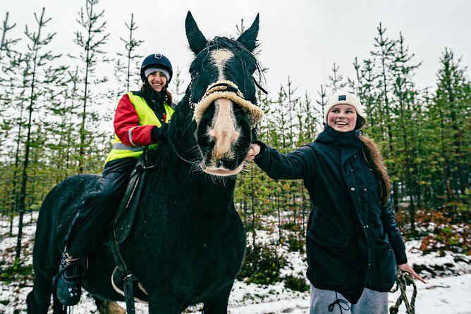 Small-Group Arctic Circle Horse Riding from Rovaniemi - Who this Arctic Circle horse ride suits best