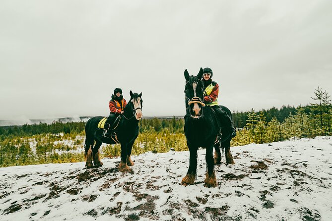 Small-Group Arctic Circle Horse Riding from Rovaniemi - Practical tips for staying comfortable in Lapland weather