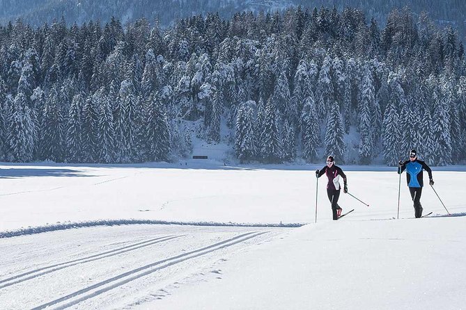 Small-Group Lapland Cross Country Ski - Entering the rhythm of cross-country skiing in Rovaniemi