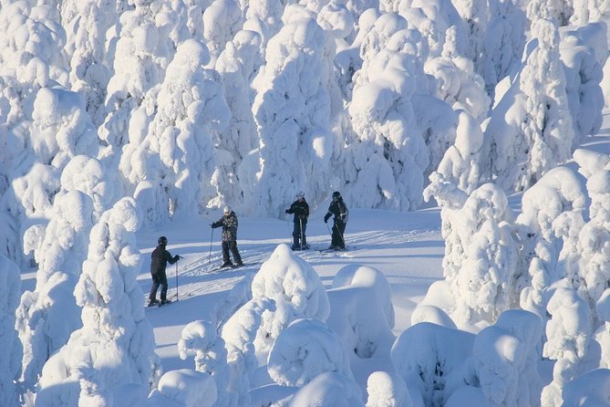 Small-Group Lapland Cross Country Ski - Small group size: up to 16 means less waiting, more skiing