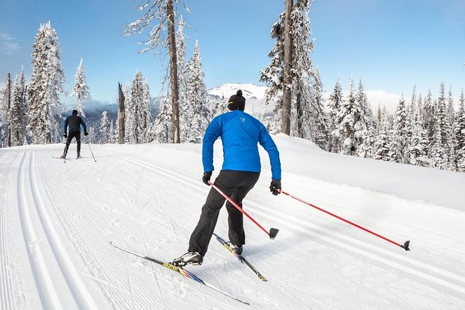 Small-Group Lapland Cross Country Ski - Where you start: the city-center meeting point and variable timing