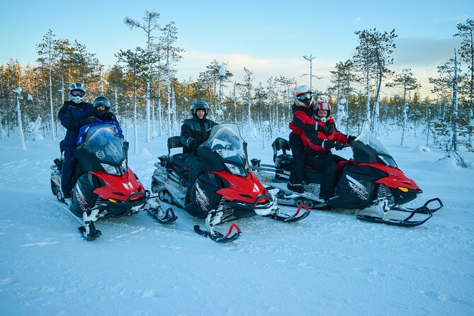 Small-Group Snowmobile Experience in Rovaniemi - Price and value: is $213 a fair deal in Rovaniemi?