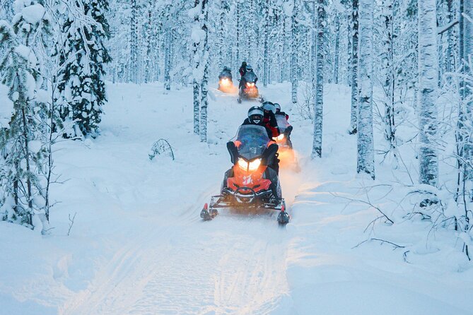 Small-Group Snowmobile Experience in Rovaniemi - Why this 12-person Rovaniemi snowmobile safari feels different