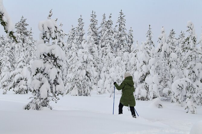 Small-Group Snowshoeing Adventure In Lapland - Key highlights worth your attention