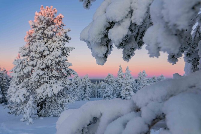 Small-Group Snowshoeing Adventure In Lapland - Why Lapland snowshoeing feels more real than a straight walk