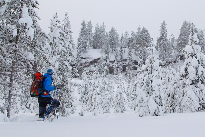 Small-Group Snowshoeing Adventure In Lapland - The basic flow of the 3 hours in the snow