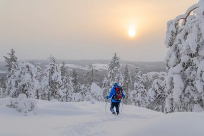 Small-Group Snowshoeing Adventure In Lapland - What you’re really paying for at about $104