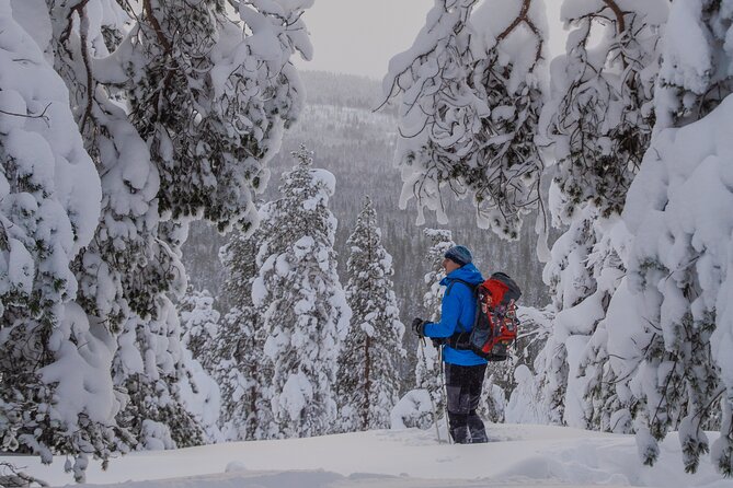 Small-Group Snowshoeing Adventure In Lapland - Your guide’s teaching style: nature facts and Arctic know-how