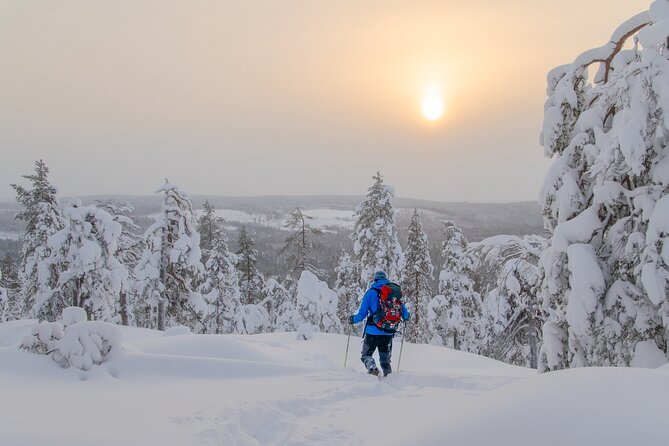 Small-Group Snowshoeing Adventure In Lapland - What you’re really paying for at about $104