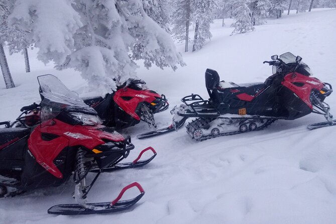 Snowmobile and Ice Fishing Excursion (private tour) - Rovaniemi Arctic Circle riding: what this tour really feels like