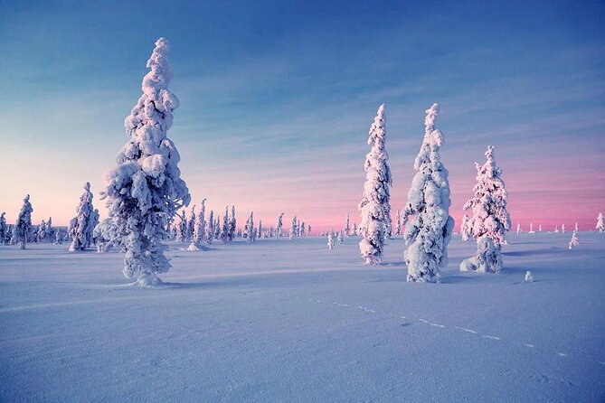 Snowmobile and Ice Fishing Experience - Bonfire warmth and Arctic fish lunch: where the cold finally releases you