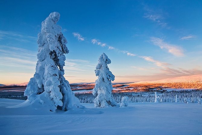 Snowmobile Driving - Morning start - Driving rules that matter: licenses and public tracks
