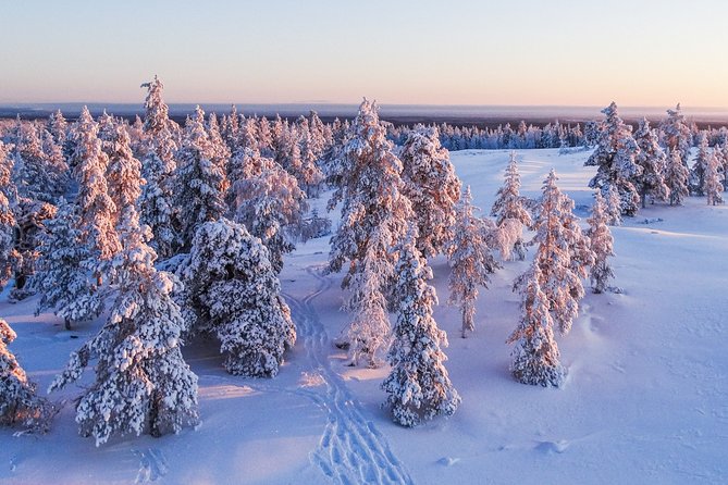 Snowmobile Driving - Morning start - Stops and role changes: sharing the ride without losing time