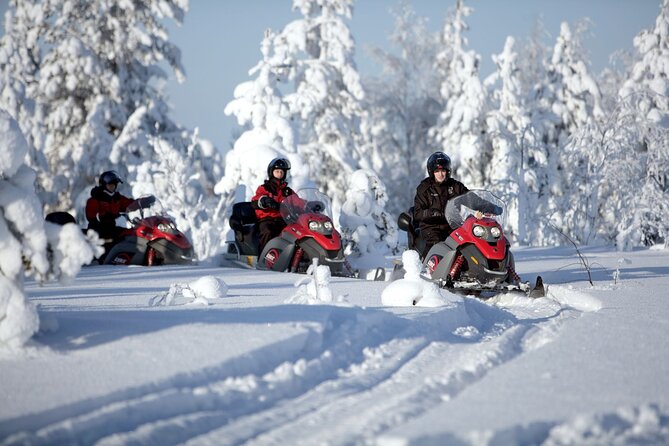 Snowmobile Safari 2h - Gear up and learn the snowmobile basics before you go fast