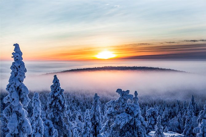 Snowmobile Safari in the Nature - Price and Value: Is Around $183.72 Worth It?
