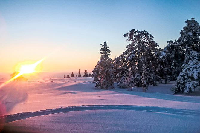 Snowmobile Safari in the Nature - Pickup, Timing, and a Smooth Start at 10:00 am