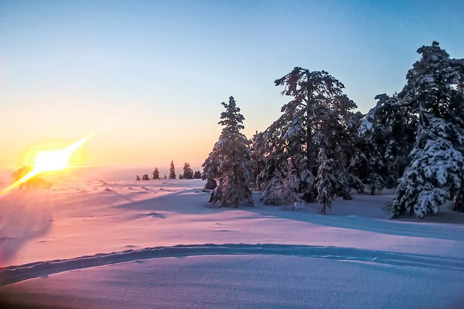 Snowmobile Safari in the Nature - Morning start - Why This Morning Snowmobile Safari Works in Rovaniemi