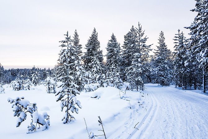 Snowmobile Safari in the Nature - Morning start - The Briefing, Then Riding Behind the Guide