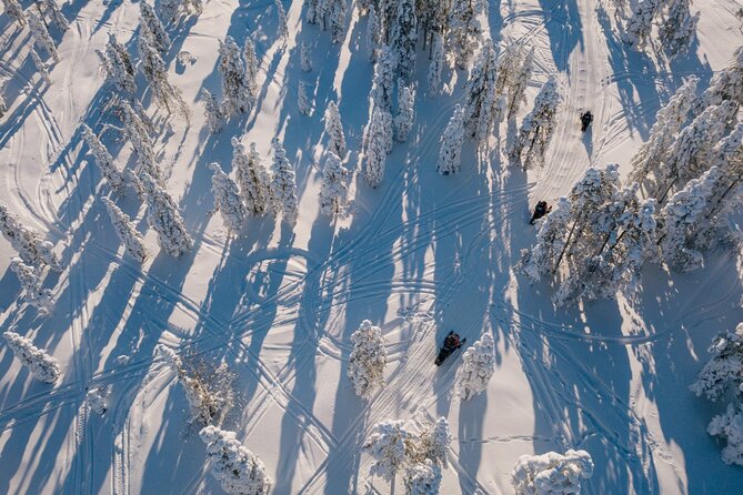 Snowmobile Safari through Lappish Forest from Rovaniemi - What This Snowmobile Safari Actually Feels Like